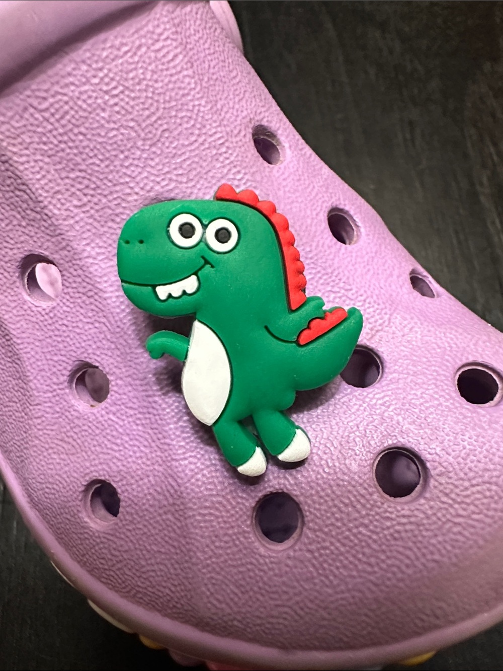 Dinosaur Shoe Charm. Search JIBBITZ in my closet!